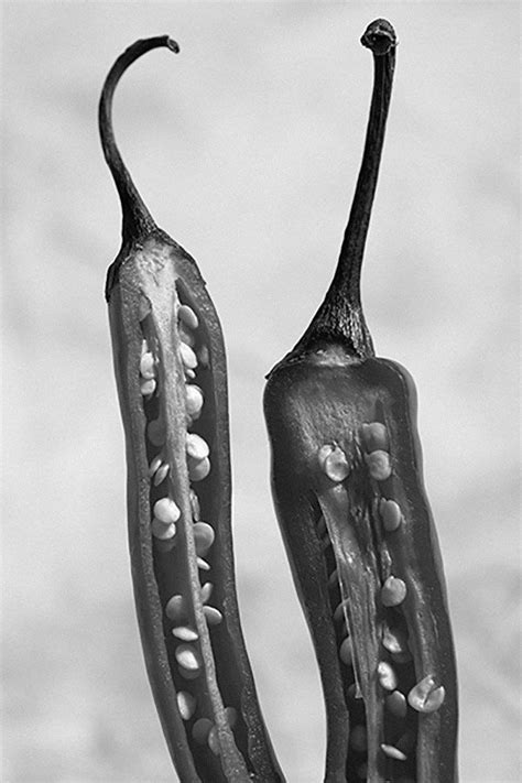 Chilli peppers | Contrast photography, Vegetables photography, Food art photography