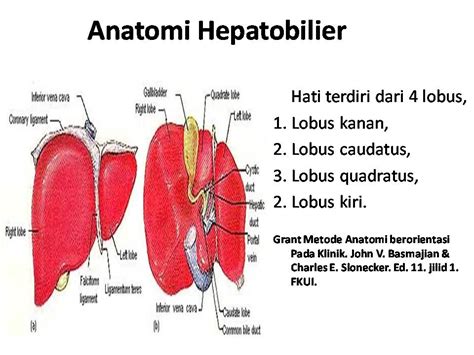 HeaLtH: Ikterus