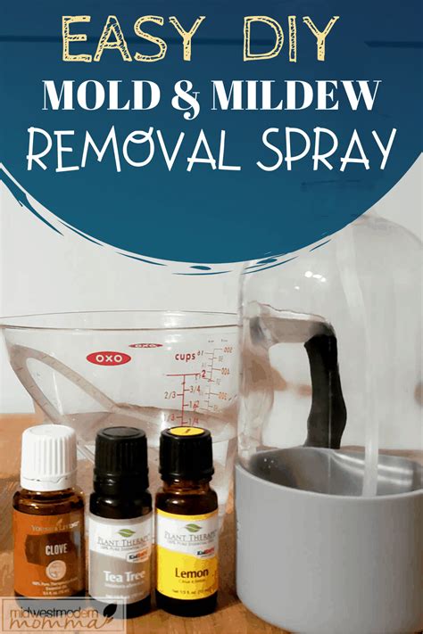 Homemade Mildew Removal Spray {Mold too!} | Mildew remover, Mold and ...