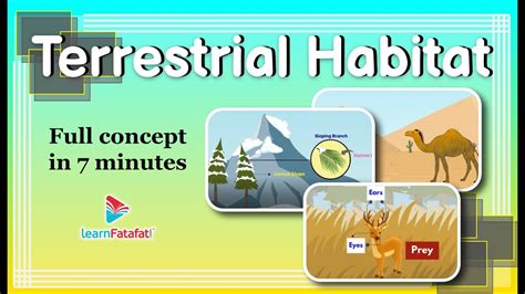 Terrestrial Habitat | Class 6 The Living Organisms Characteristics and Habitat - LearnFatafat ...