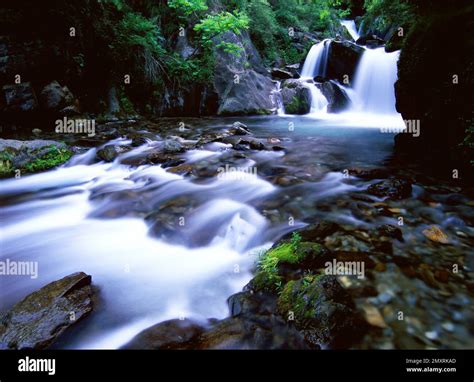 Shennongjia waterfalls hi-res stock photography and images - Alamy