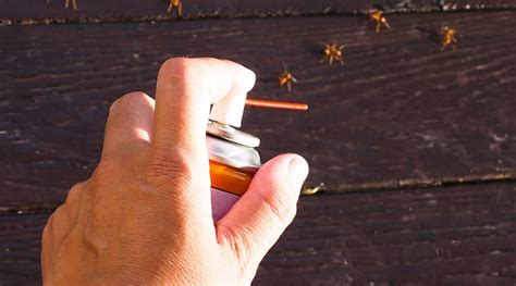 Best Ant Sprays - Reviews and Buying Guide