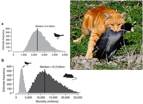 Species New to Science: [Invasive Alien • 2013] Outdoor Cats : Single ...