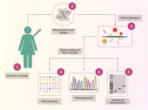 Cancer Genetic Testing- What Is It & How It's Done? – Genetic Education