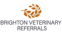 Referrals | Local Vets in Brighton - New Priory Vets