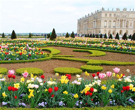 Versailles Palace: Day Trip to the Royal Gardens | Bonjour Paris