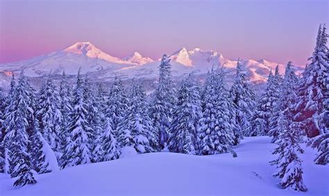 snow covered trees and mountains in the background at sunset with pink light from setting sun