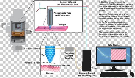 Scanning Tunneling Microscope Microscopy Quantum Tunnelling Scanning Electron Microscope PNG ...