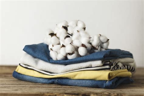 What is Organic Cotton? Here's Everything You Need To Know