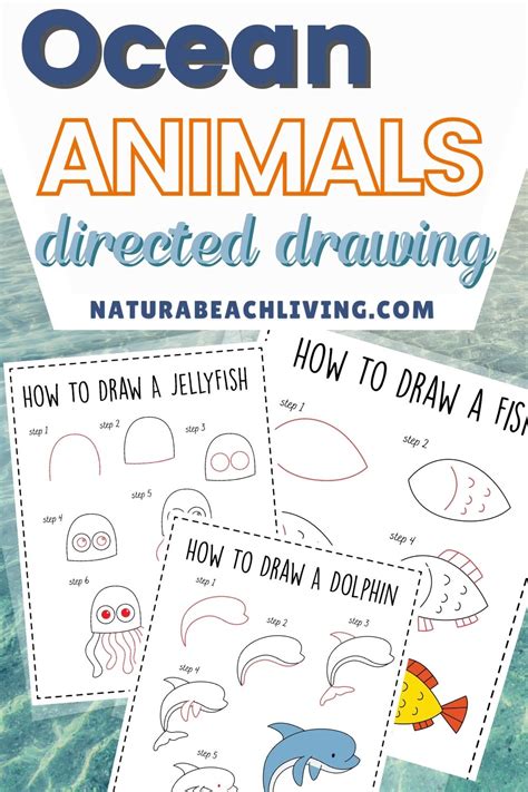 How to Draw Ocean Animals - Natural Beach Living