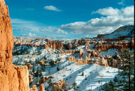 bryce canyon in winter Free Photo Download | FreeImages