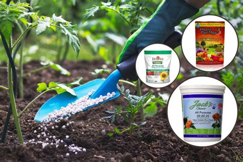 Compost vs. Fertilizer - What’s The Difference? - Garden Tabs