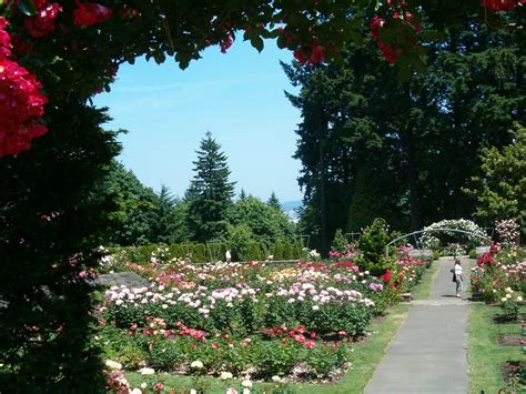 Julie's Journeys: Portland, Oregon: International Rose Test Garden