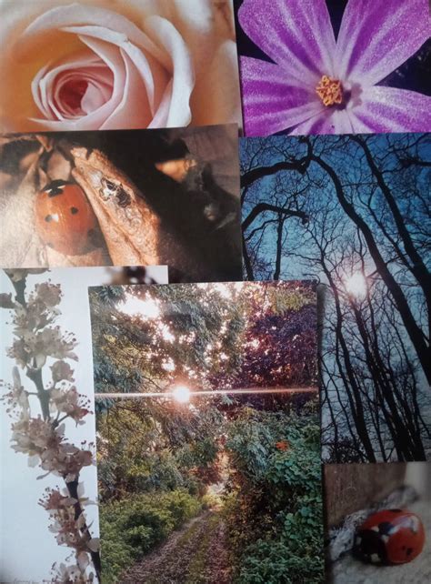 Etsy Photo Prints by MagentaRoseOrchid on DeviantArt