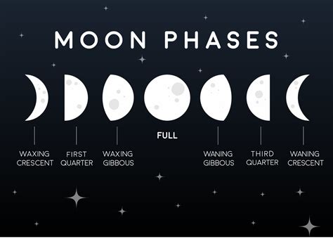 First Quarter Moon Phase Spiritual Meaning - lusomentepalavras