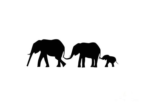 Elephant Family Silhouette at GetDrawings | Free download