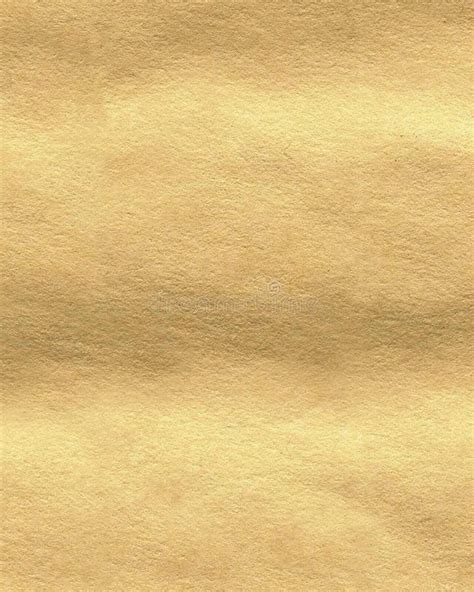 Buckskin leather texture stock photo. Image of skin, aged - 8352562