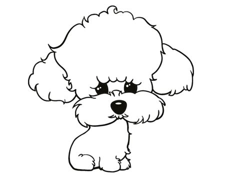 Dibujo de Cachorro de poodle para Colorear | Dibujos faciles de perros, Dibujo de perro ...