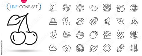 Pack of Deckchair, Cherry and Sunflower seed line icons. Include Sunny weather, Incubator, Water ...