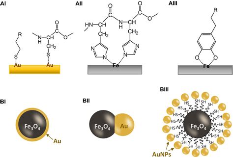 Frontiers | Gold-iron oxide (Au/Fe3O4) magnetic nanoparticles as the nanoplatform for binding of ...