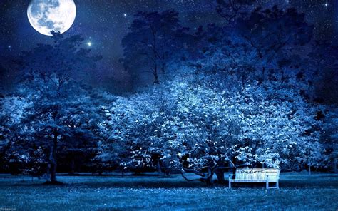 Park Anime Night Wallpapers - Wallpaper Cave