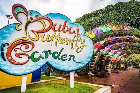 A Guide to Dubai Butterfly Garden: Attractions, Ticket Prices & More