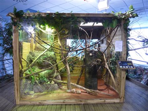 Geoffroy's marmoset enclosure, 10th April 2012 - ZooChat