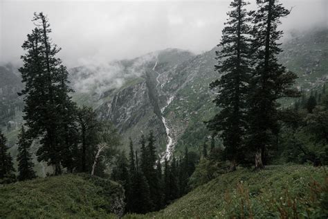 Mountain Landscape with Trees · Free Stock Photo