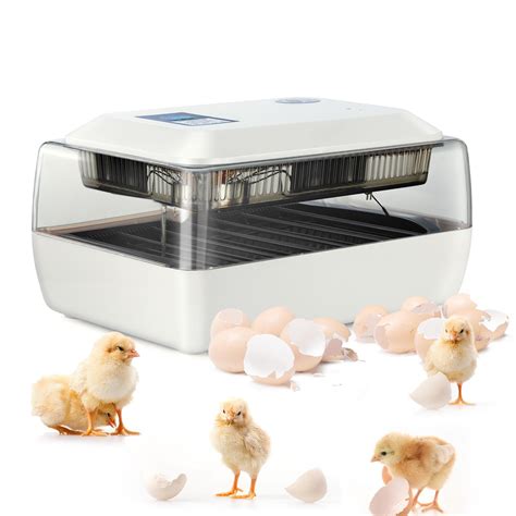 Digital Fully Automatic Egg Incubator 24 Eggs Poultry Hatcher – Terry's Parrot Farm