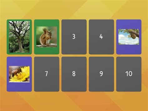 Animal habitats Memory game - Matching pairs