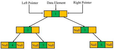 Introduction to the Binary Tree Data Structure | Baeldung on Computer ...