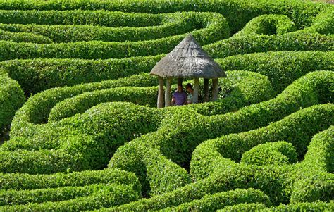 Green Maze Jigsaw Puzzle