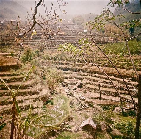 Julia Laird - Aoling Festival, Nagaland | LensCulture