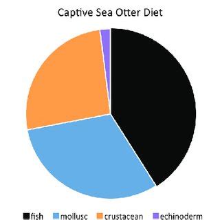 (PDF) Sea Otter (Enhydra lutris) Diet Diversity in Zoos and Aquariums