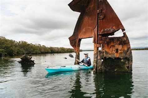 Adelaide: Dolphin Sanctuary Eco Kayaking Tour