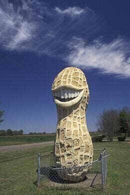 Jimmy Carter Smiling Peanut – Plains, Georgia - Atlas Obscura