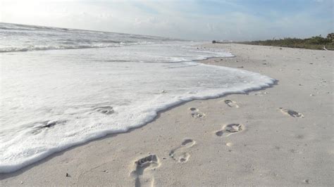 Take a walk on Barefoot Beach. No crowds! #swfl | Barefoot beach ...