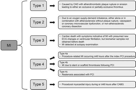 Defining and managing patients with non‐ST‐elevation myocardial infarction: Sorting through type ...