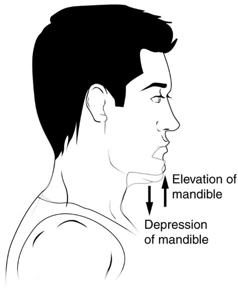 File:Elevation and Depression.jpg - Wikimedia Commons