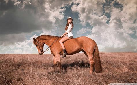 Equestrian Wallpaper (56+ pictures) - WallpaperSet