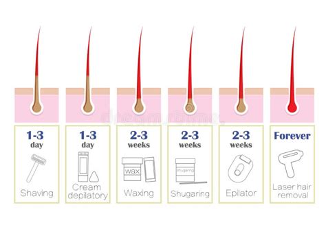 Comparison Of The Popular Methods Of Hair Removal: Laser, Epilator ...