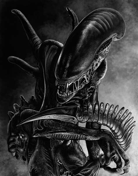 Xenomorph | Alien art, Aliens movie, Alien artwork