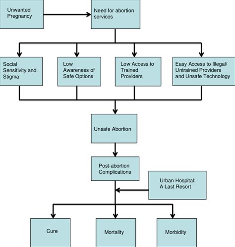 Conceptual framework of post-abortion complications. | Download Scientific Diagram