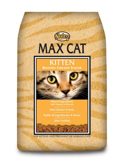 Nutro Max Kitten Dry Food | PetFlow