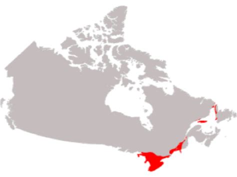 St. Lawrence Lowlands - Canada's Landforms and Economic Regions Assignment By Lance Rogan