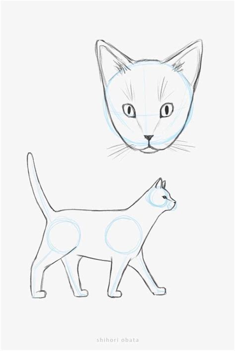 30 Easy Cat Drawing Ideas