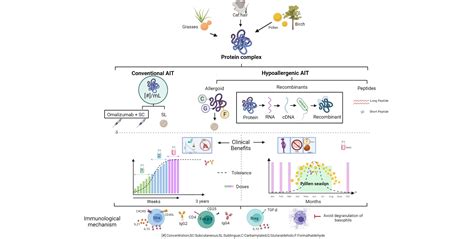 Cells | Free Full-Text | Allergen Immunotherapy: Current and Future Trends