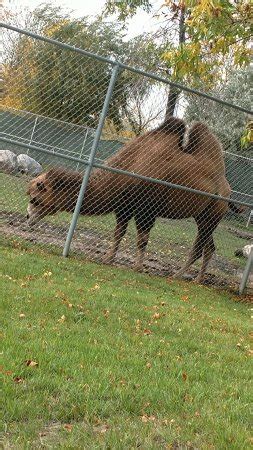 Red River Zoo (Fargo, ND): Top Tips Before You Go (with Photos ...