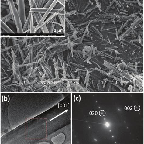 (PDF) Structure and cleavage of monosodium urate monohydrate crystals