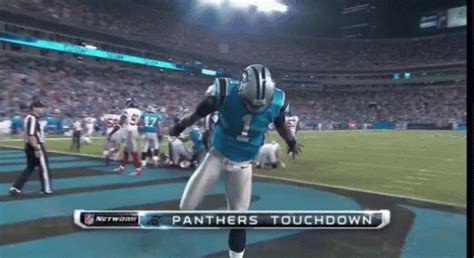 Carolina Panthers GIF - Carolinapanthers Touchdown Nfl GIFs | Say more ...